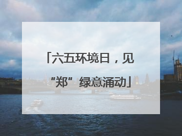六五环境日，见“郑”绿意涌动