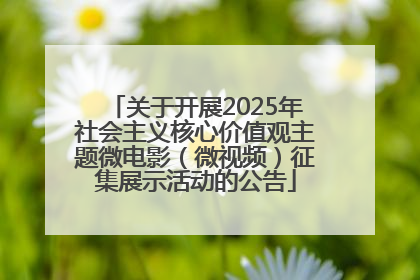 关于开展2025年社会主义核心价值观主题微电影（微视频）征集展示活动的公告