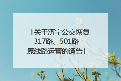 关于济宁公交恢复317路、501路原线路运营的通告