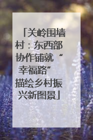 关岭围墙村：东西部协作铺就“幸福路” 描绘乡村振兴新图景