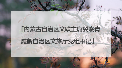 内蒙古自治区文联主席冀晓青履新自治区文旅厅党组书记