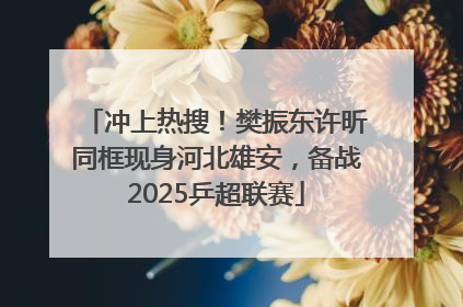 冲上热搜！樊振东许昕同框现身河北雄安，备战2025乒超联赛
