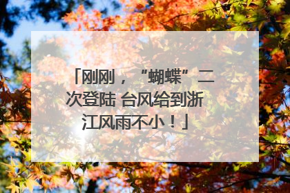 刚刚，“蝴蝶”二次登陆 台风给到浙江风雨不小！