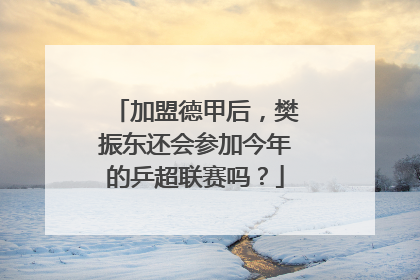 加盟德甲后，樊振东还会参加今年的乒超联赛吗？