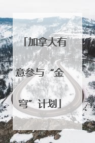 加拿大有意参与“金穹”计划