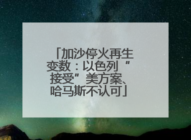 加沙停火再生变数：以色列“接受”美方案、哈马斯不认可