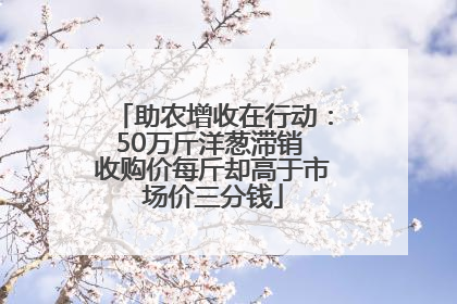 助农增收在行动：50万斤洋葱滞销 收购价每斤却高于市场价三分钱