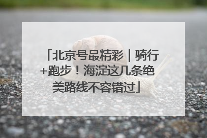北京号最精彩｜骑行+跑步！海淀这几条绝美路线不容错过