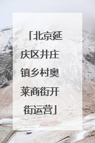 北京延庆区井庄镇乡村奥莱商街开街运营