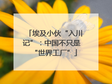 埃及小伙“入川记”：中国不只是“世界工厂”