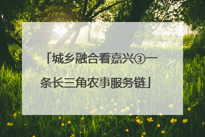 城乡融合看嘉兴③一条长三角农事服务链