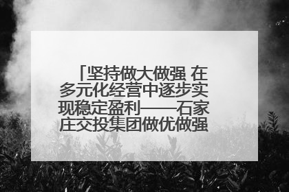 坚持做大做强 在多元化经营中逐步实现稳定盈利——石家庄交投集团做优做强典型报道之三