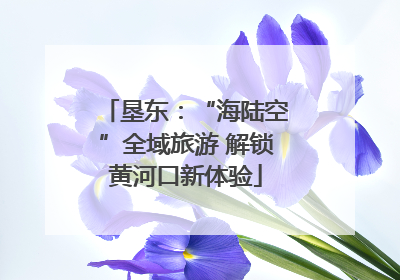 垦东：“海陆空”全域旅游 解锁黄河口新体验