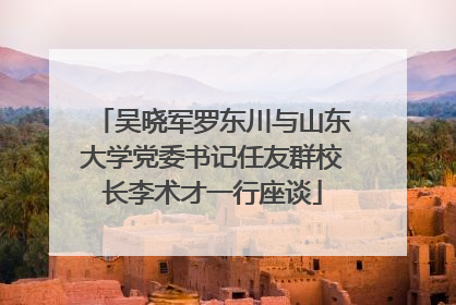 吴晓军罗东川与山东大学党委书记任友群校长李术才一行座谈
