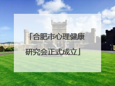 合肥市心理健康研究会正式成立