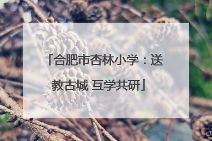 合肥市杏林小学：送教古城 互学共研