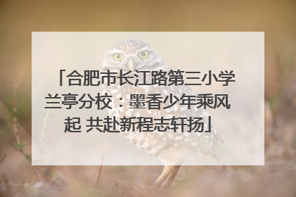 合肥市长江路第三小学兰亭分校：墨香少年乘风起 共赴新程志轩扬