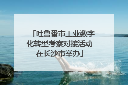 吐鲁番市工业数字化转型考察对接活动在长沙市举办