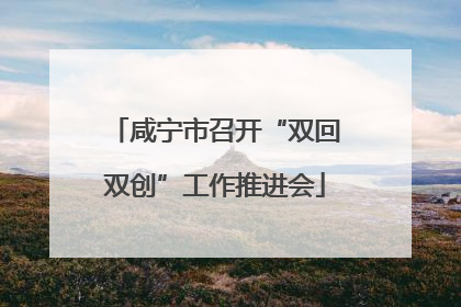 咸宁市召开“双回双创”工作推进会