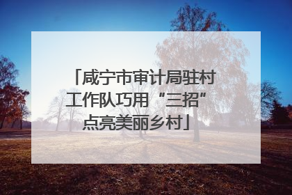 咸宁市审计局驻村工作队巧用“三招”点亮美丽乡村