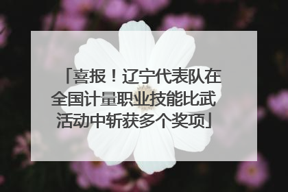 喜报！辽宁代表队在全国计量职业技能比武活动中斩获多个奖项