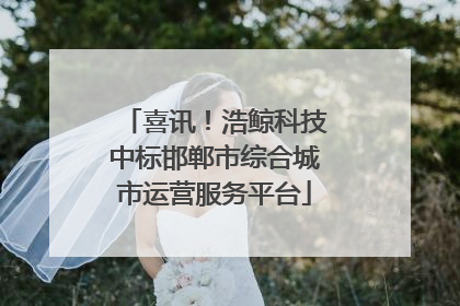 喜讯！浩鲸科技中标邯郸市综合城市运营服务平台