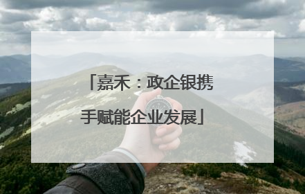 嘉禾：政企银携手赋能企业发展