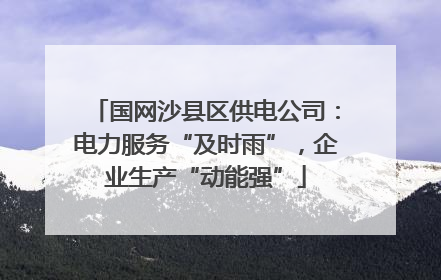 国网沙县区供电公司：电力服务“及时雨”，企业生产“动能强”