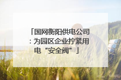 国网衡阳供电公司：为园区企业拧紧用电“安全阀”
