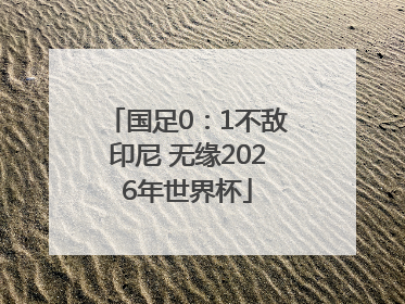 国足0：1不敌印尼 无缘2026年世界杯