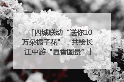 四城联动“送你10万朵栀子花”，共绘长江中游“夏香图景”