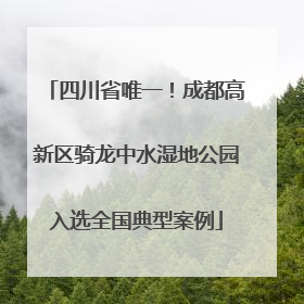 四川省唯一！成都高新区骑龙中水湿地公园入选全国典型案例