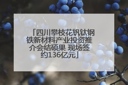 四川攀枝花钒钛钢铁新材料产业投资推介会结硕果 现场签约136亿元