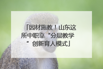 因材施教！山东这所中职靠“分层教学”创新育人模式