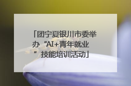 团宁夏银川市委举办“AI+青年就业”技能培训活动