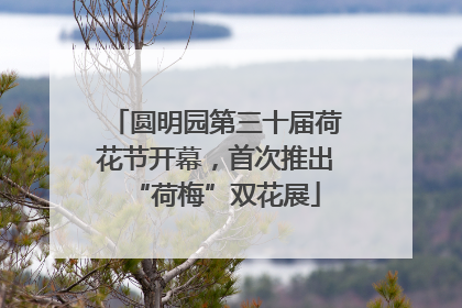 圆明园第三十届荷花节开幕，首次推出“荷梅”双花展