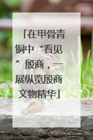 在甲骨青铜中“看见”殷商，一展纵览殷商文物精华