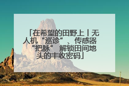在希望的田野上丨无人机“巡诊”、传感器“把脉” 解锁田间地头的丰收密码