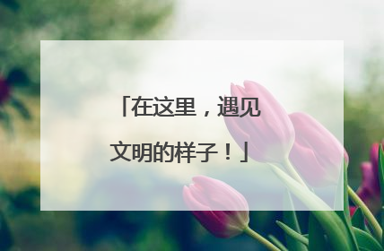 在这里，遇见文明的样子！
