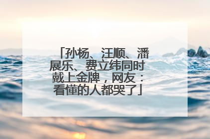 孙杨、汪顺、潘展乐、费立纬同时戴上金牌，网友：看懂的人都哭了
