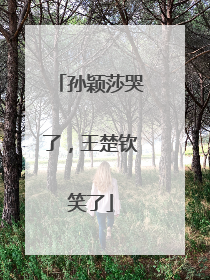 孙颖莎哭了，王楚钦笑了