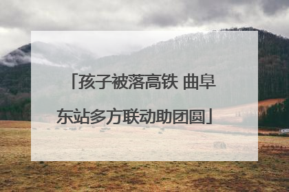 孩子被落高铁 曲阜东站多方联动助团圆