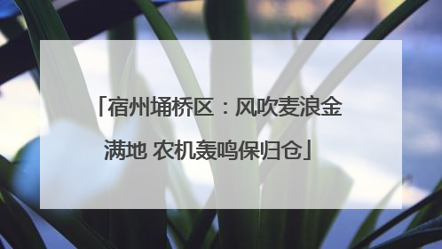 宿州埇桥区：风吹麦浪金满地 农机轰鸣保归仓