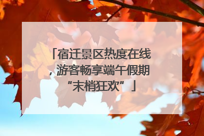 宿迁景区热度在线，游客畅享端午假期“末梢狂欢”