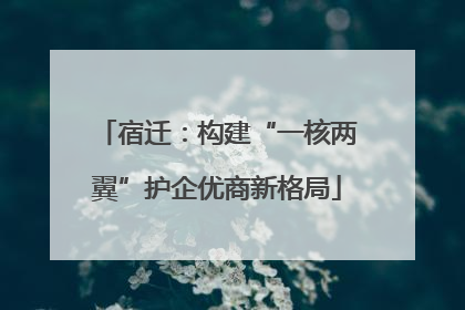 宿迁：构建“一核两翼”护企优商新格局
