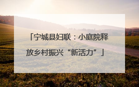 宁城县妇联：小庭院释放乡村振兴“新活力”