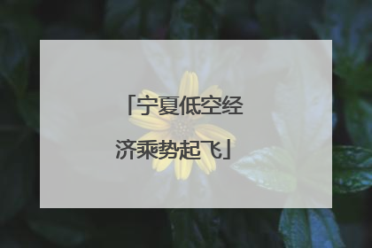 宁夏低空经济乘势起飞