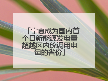 宁夏成为国内首个日新能源发电量超越区内统调用电量的省份