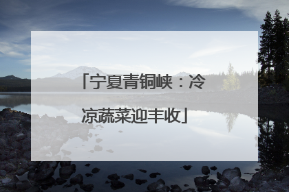 宁夏青铜峡：冷凉蔬菜迎丰收