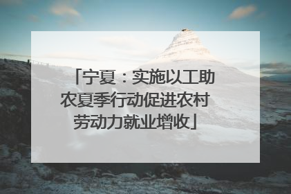 宁夏：实施以工助农夏季行动促进农村劳动力就业增收